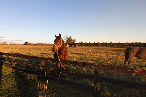 Photo of property in 183 Terrace Road, Cust, 7471