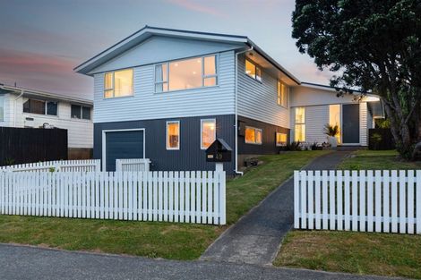 Photo of property in 49 Pope Street, Camborne, Porirua, 5026