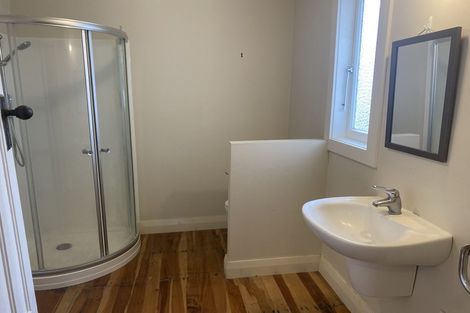 Photo of property in 113 Pembroke Street, Hamilton Lake, Hamilton, 3204