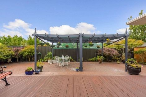 Photo of property in 33 Brunswick Street, Hutt Central, Lower Hutt, 5010