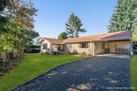 Photo of property in 252 Sunset Road, Sunnybrook, Rotorua, 3015