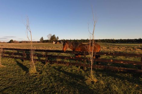 Photo of property in 183 Terrace Road, Cust, 7471