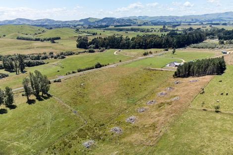 Photo of property in 273 Mikimiki Road, Mikimiki, Masterton, 5881