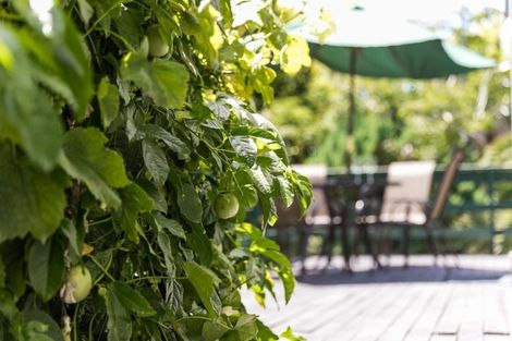 Photo of property in 10 Prestwick Place, Wattle Downs, Auckland, 2103