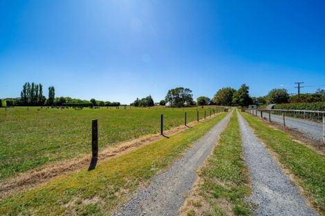 Photo of property in 124 Horrell Road, Morrinsville, 3374
