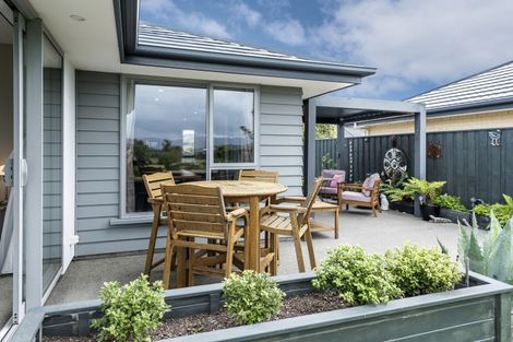 Photo of property in 100 Sunline Avenue, Lincoln, 7608