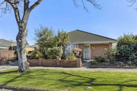 Photo of property in 33 Dee Street, St Albans, Christchurch, 8014