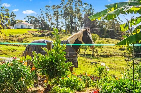 Photo of property in 1123 State Highway 12, Oue, Kaikohe, 0473