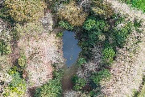 Photo of property in 86 Lindsay Road, Levin, 5510