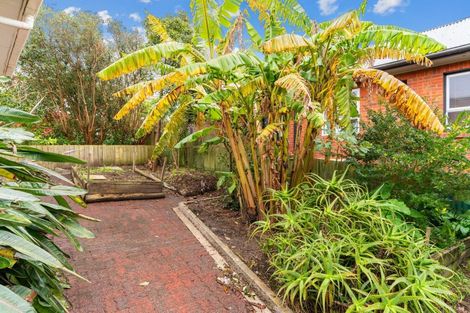 Photo of property in 70 Ranfurly Street, Dargaville, 0310