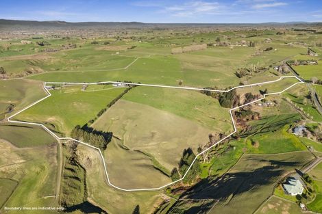 Photo of property in 320 Morgan Road, Matamata, 3472