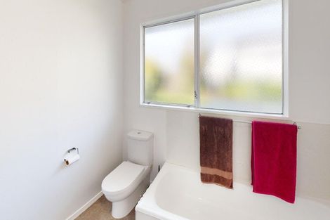 Photo of property in 84a Fitzroy Street, Terrace End, Palmerston North, 4410