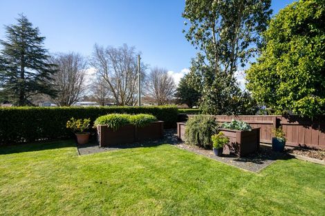 Photo of property in 62 Raleigh Street, Leamington, Cambridge, 3432