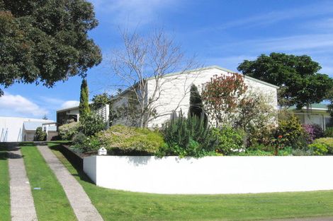 Photo of property in 66 Campbell Road, Mount Maunganui, 3116