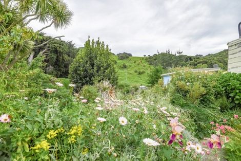 Photo of property in 65 Puaha Road, Little River, 7591