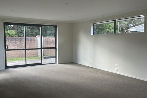 Photo of property in 29 Allington Place, Bethlehem, Tauranga, 3110