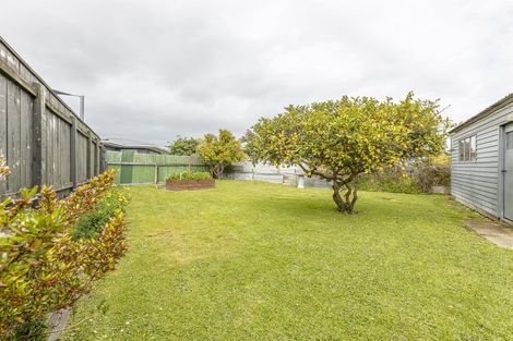 Photo of property in 14 London Terrace, Awapuni, Palmerston North, 4412