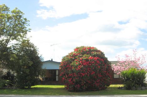 Photo of property in 61 College Road, Edgecumbe, 3120