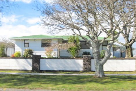 Photo of property in 211 Te Rangitautahanga Road, Turangi, 3334