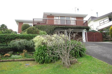 Photo of property in 102 Mount View Road, Thames, 3500