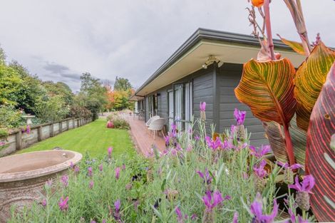 Photo of property in 2 Petersen Place, Waipukurau, 4200