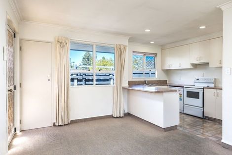 Photo of property in 4b Seymour Street, Blenheim, 7201