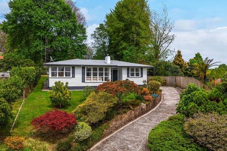 Photo of property in 14 Norrie Place, Putaruru, 3411