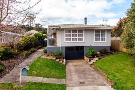 Photo of property in 14 Willoughby Street, Paeroa, 3600