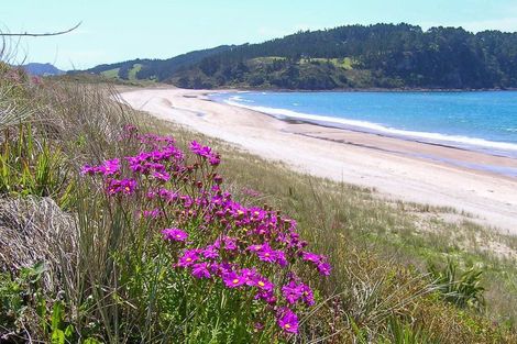 Photo of property in 69 Pye Place, Hot Water Beach, Whitianga, 3591