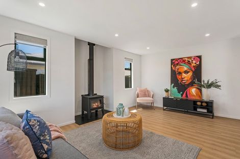 Photo of property in 28 Wicklow Street, Cromwell, 9310