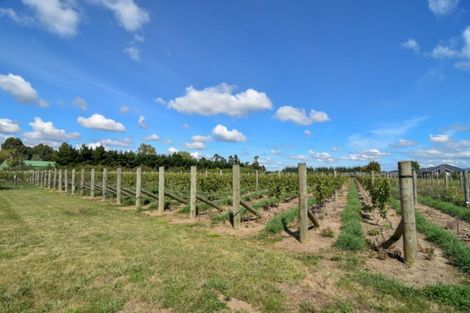 Photo of property in 31 Andersons Line, Clareville, Carterton, 5713