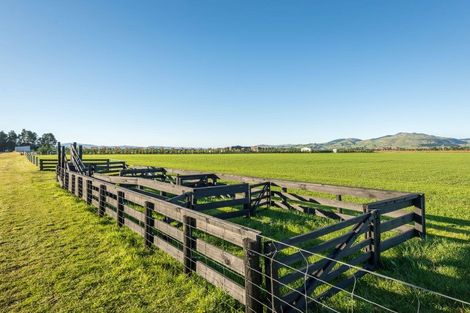 Photo of property in 56 Limeloader Lane, Glasnevin, Amberley, 7482