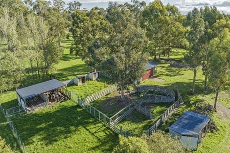 Photo of property in 14 Bealey Road, Leeston, 7683