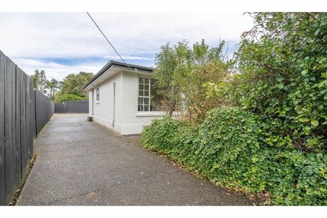 Photo of property in 60 Ariki Avenue, Otatara, Invercargill, 9879