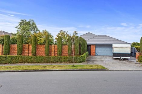 Photo of property in 6 Yellowlees Drive, Kaiapoi, 7630