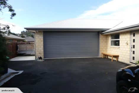 Photo of property in 44 Birdwood Avenue, Beckenham, Christchurch, 8023
