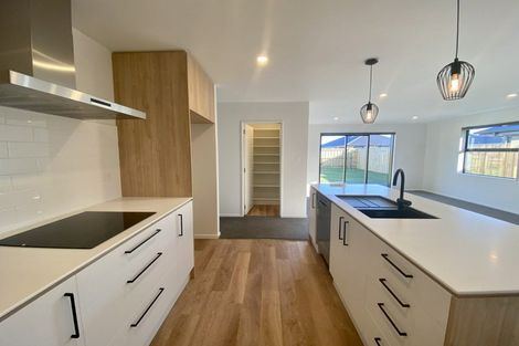 Photo of property in 22 Te Kanawa Lane, Rolleston, 7615