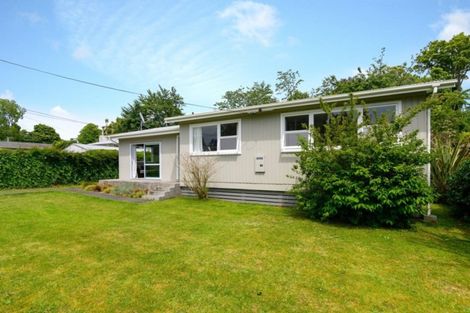 Photo of property in 8 Nikau Street, Springfield, Rotorua, 3015