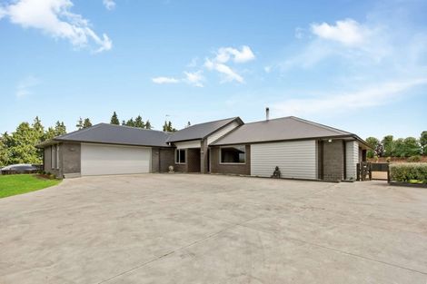 Photo of property in 250 Ryburn Road, Ohaupo, 3883