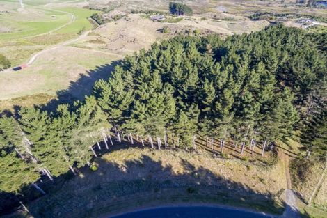 Photo of property in 101 Emma Drive, Manakau, 5573