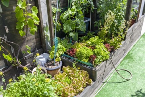 Photo of property in 5a Willow Grove, Raumati Beach, Paraparaumu, 5032