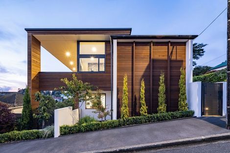 Photo of property in 18 Selkirk Street, Roslyn, Dunedin, 9010