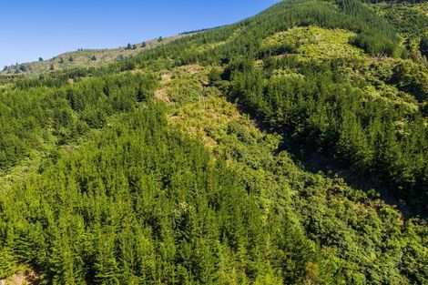 Photo of property in 4954 Kenepuru Road, Ohauparuparu Bay, Picton, 7282