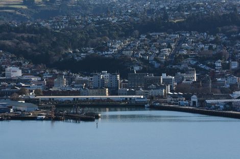 Photo of property in 145 Larnach Road, Waverley, Dunedin, 9013