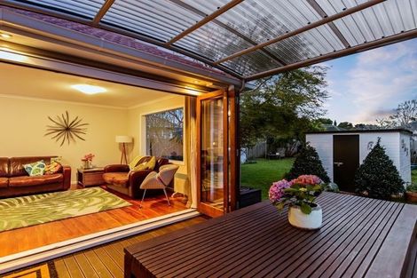 Photo of property in 21 Larsen Road, Panmure, Auckland, 1072