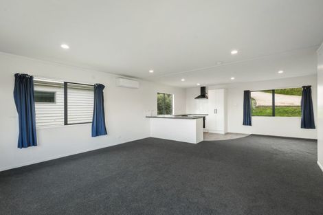 Photo of property in 107 Danby Street, Thames, 3500