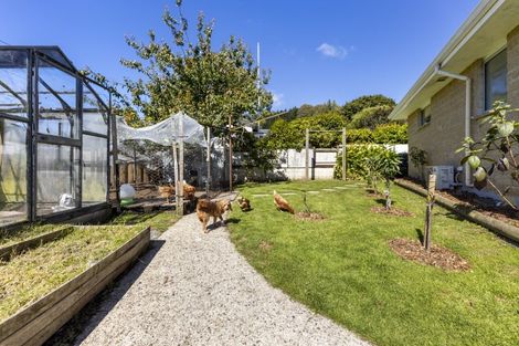 Photo of property in 99 Hall Road, Sawyers Bay, Port Chalmers, 9023