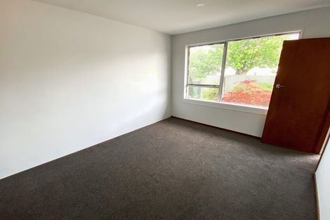 Photo of property in 2/467 Tuam Street, Phillipstown, Christchurch, 8011