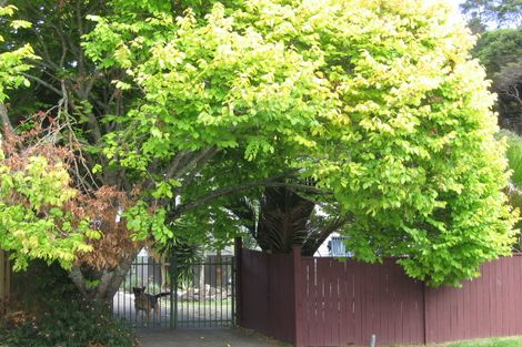 Photo of property in 62 Melba Street, Beach Haven, Auckland, 0626