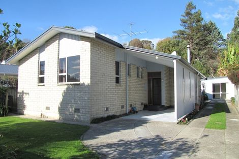 Photo of property in 27 Winter Street, Mangapapa, Gisborne, 4010